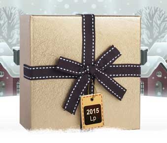 New Year Forex Promotion ~ LiteForex 2015