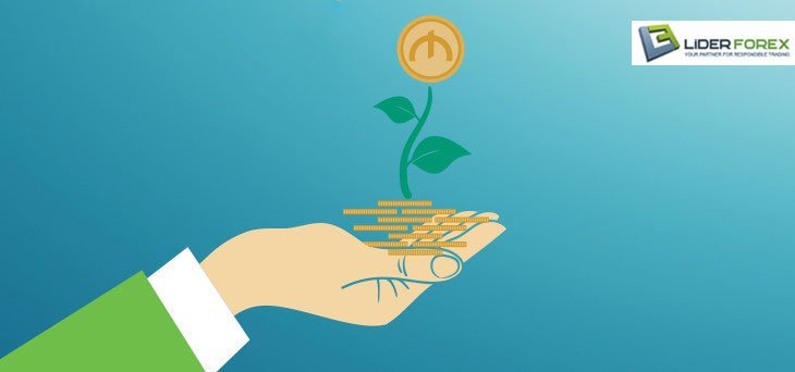 Lider Forex Cash Credit Bonus