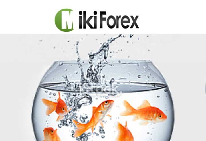 Game is Worth the Candle Contest – Miki Forex