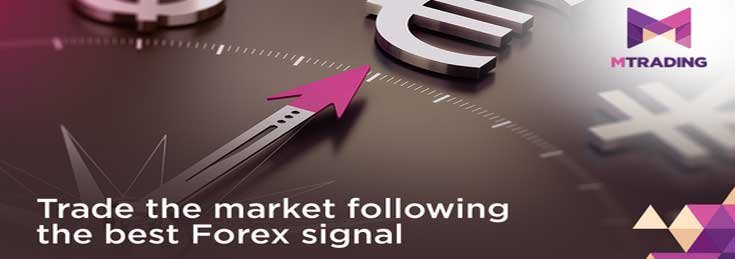 MTrading Free WhatsApp Trading Signals