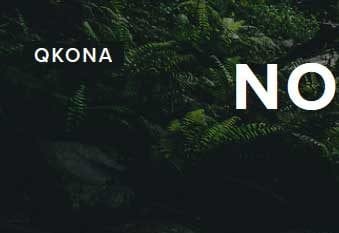 $100 ECN No Deposit Bonus – Qkona