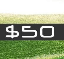 $50 USD BONUS NO DEPOSIT – TradeFTM