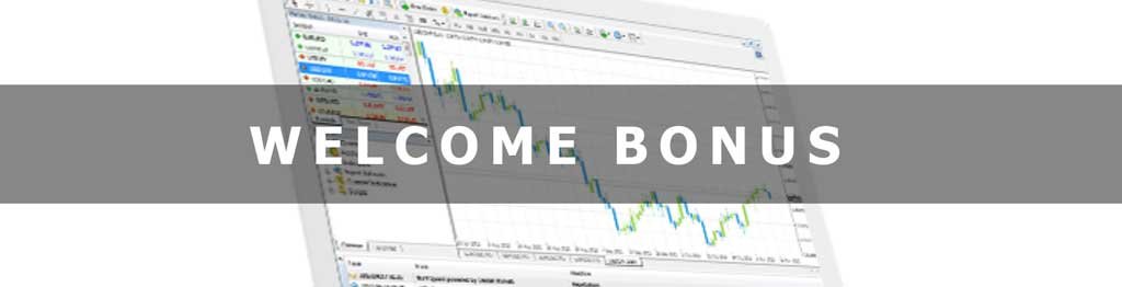 Destek Markets bonus