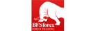 BFSFOREX