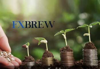 100% Trading Bonus, New Clients – Fxbrew