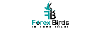 Forex Birds