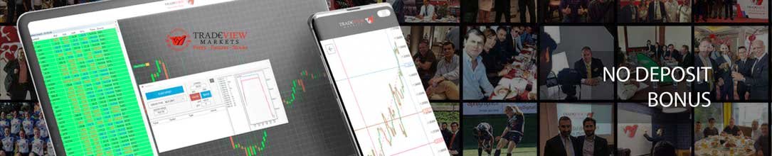 tradeviewforex campaign