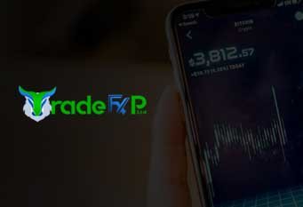 Tradable Bonus Packages – TradeFxP