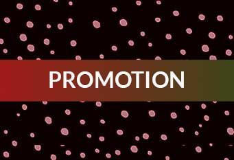 €250 Crypto New Year Bonus – LH Crypto