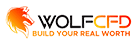 WolfCFD