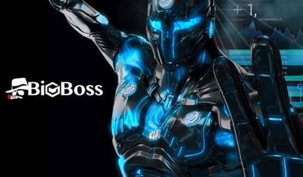 BigBoss promos