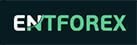 Crypto Deposit Bonus – ENTFOREX