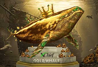 Gold Whale, Live Contest – XChief