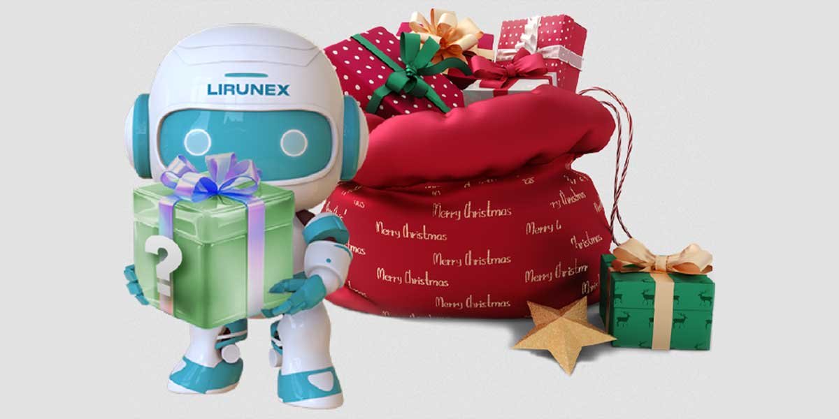 lirunex Christmas Mystery Treasure Box